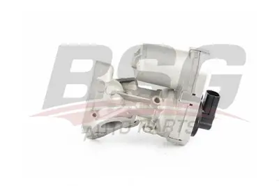 bsg-70-836-004-egr-valfi