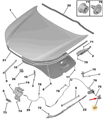 psa-9801080580-kaput-acma-kolu