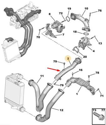 psa-9831710780-hortum