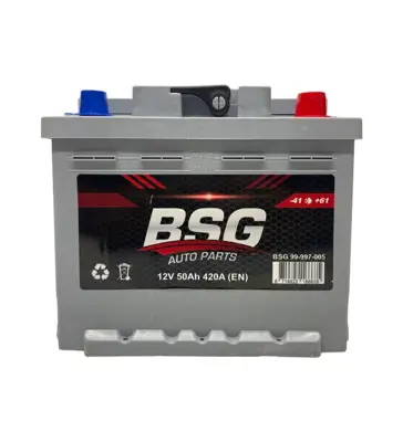 bsg-99-997-005-aku-12v-50ah-207x175x175-duz