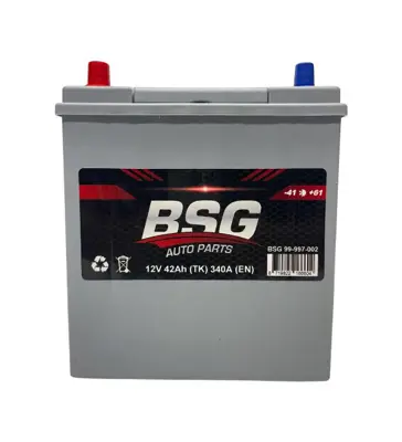 bsg-99-997-002-aku-12v-42ah-197x129x227-ters