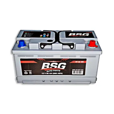 bsg-99-997-012-aku-12v-80ah-315x175x175-duz