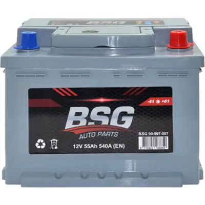 bsg-99-997-007-aku-12v-55ah-242x175x175-duz