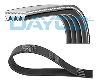 dayco-4pk1520-v-kayisi