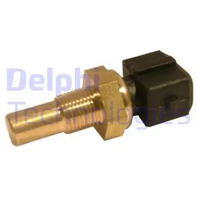 delphi-ts10244-12b1-hararet-musuru