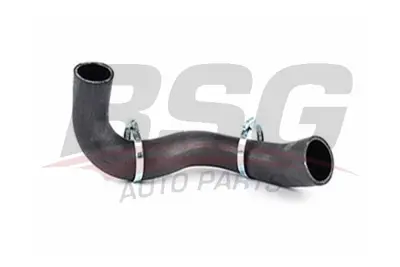 bsg-30-720-186-intercooler-hortumu