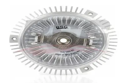 bsg-60-505-016-fan-termigi