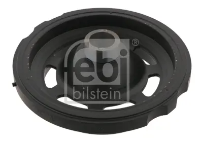 febi-bilstein-31296-krank-kasnagi