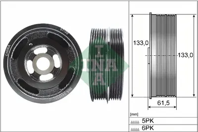 ina-544-0167-10-krank-kasnagi