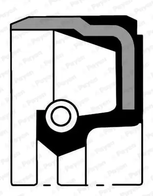 payen-nb848-krank-kecesi-arka