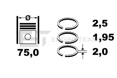 FEDERAL-MOGUL MOTORPARTS 06-838300.00 Segman GM AV6Q/6148/AA