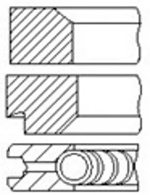 FEDERAL-MOGUL MOTORPARTS 06-839600.00 Segman GM 6G9Q/6148/AA