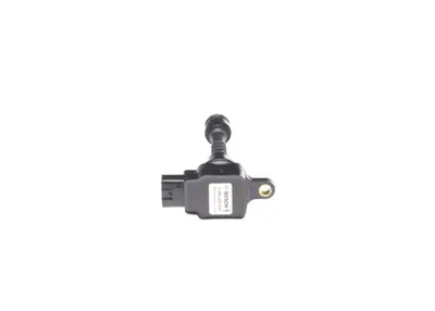 BOSCH 098622A000 Atesleme Bobını GM 22448/6N002