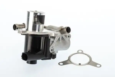 WAHLER 710965D Egr Valfı GM A2741420619