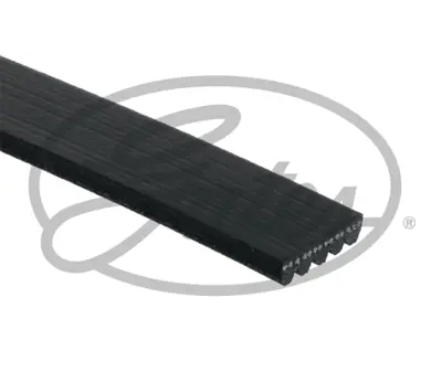 GATES RDM1063K5 V Kayısı GM 07K145933E