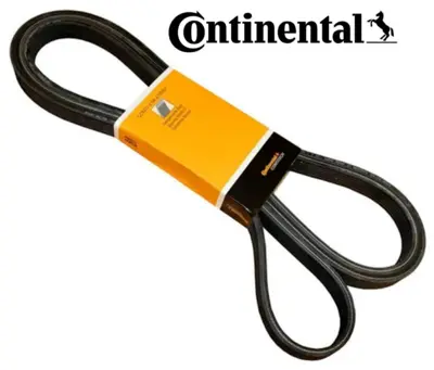 CONTINENTAL CONTITECH 7PK 3120 V Kayısı GM CC1Q6C301FA