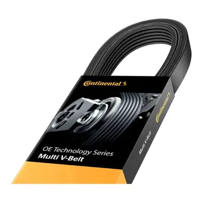 CONTINENTAL CONTITECH 7PK 1272 V Kayısı GM 11720-EB300