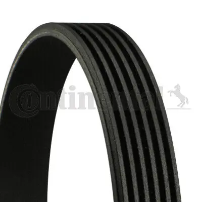 CONTINENTAL CONTITECH 4PK 643ELAST V Kayısı GM 948115, GM 55557208, GM 948495, GM 93196953, GM 55564676, GM 55354587, GM 400978, GM 25195582, GM 948234, GM 96870201