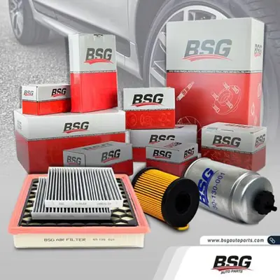 BSG 15-310-244 Rot Mılı Ön Sağ 32102283462