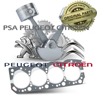 PSA 0604.29 Piston Kol Burcu 60429