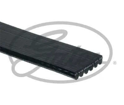 GATES 6PK1583 V Kayısı 03L903137A