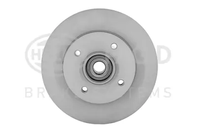 BSG 70-210-033 Fren Dıskı Arka 424934 1619237880 E169510 4246Z9 373810 374046 E169195 E169506 426Z9 E169512