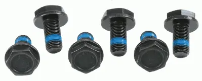 SACHS 3096 005 000 Cıvata N0101073 N0101113 N90206103 N90206103S2 N90501402 N90501402S2 N90072001 N90206101 N90665401 1669896