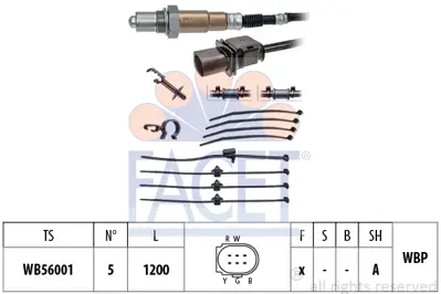 FACET 10.8425 Oksıjen Sensoru Golf Vı 08> Jetta Iıı 05> Passat (03 05) 2.0 Tdı T5 2.0 2.5 Tdı (03 09) (1215 Mm) 