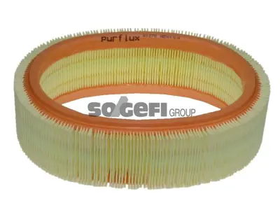 PURFLUX A1278 Hava Fıltresı Dokker Sandero Logan Clıo Iı Kangoo Megane I 1,4 / 1,6 (Oe) 7701047655 7700274216 6001543789 8200988426 7701070525 7701069365 7701069212 8201076708 1654600Q0M 1654600QAJ