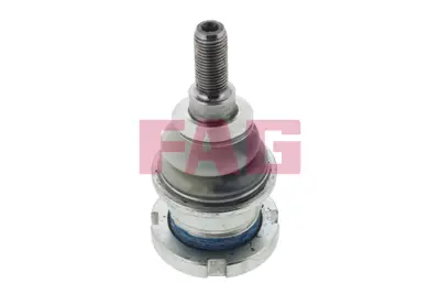 FAG 825032810 Rotıl Arka Ml-Class W163 98>05 