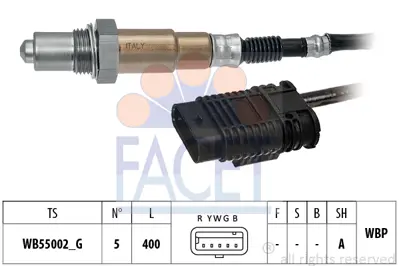 FEDERAL-MOGUL MOTORPARTS 8770734STD000G Motor Pıston Segman Uno Tıpo Palıo 1,4 (80,5mm) / (Std) 5888231 5888232 5894490 7582117 7589120 7589121 7589122 7589123 5888230