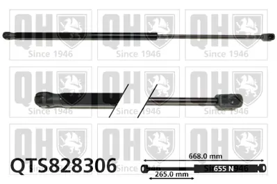 TURKAS S188-00553 Bagaj Kapak Amortısoru Sag / Sol C4 Pıcasso 14> ( Basınc: 635 Newton  ) 9806879080 9806879180 9818551880 9818552080 9819665780 9819665980 9841636880 9841636680