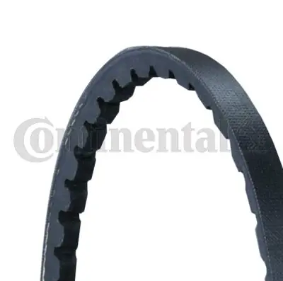 CONTINENTAL CONTITECH 10 X 735 V Kayısı 2068047 400325 400365 5001014844 23223118 GCB10737 1752170020 68903137 7753005900009 89203057100