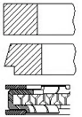 RIKEN 43390000 Segman  Std 73,40 Mmz12xep-A12xer-Z14xep-A14xer As 630012 55571028 SA630012 9319723 93179723 630157 24454587 24454593 55351912 93177160