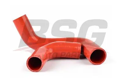 BSG 30-720-181 Turbo Hortumu 1231909 1232440 1252809 1308544 1312944 1313635 1313881 1324485 1329068 1348161