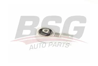 BSG 25-700-043 Motor Takozu Arka 51815759 51815760 51939655 51885742 519396550