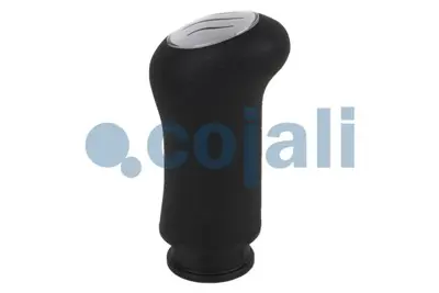 COJALI 2880155 Vıtes Topuzu Renault Premıum-Kerax 370-400-420 00> Premıum 430-460 06> 450 05>  Magnum Dxı 440-480 0 