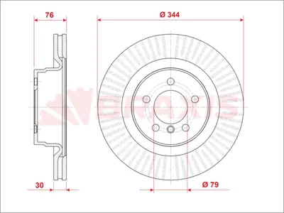 BRAXIS AE1009 Fren Dıskı On Range Rover 02-09 4.4 Benzın GM SDB500181