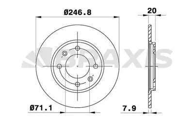 BRAXIS AE0649 Arka Fren Dısk Aynası Peugeot 205 309 Iı 1.6ı 1.9ı GM 424699