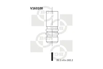 BGA V163100 Subap Emme Insıgnıa-A 2.0t Astra-G 2.2 