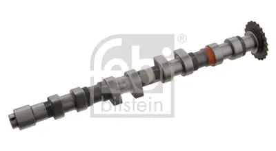 FEBI BILSTEIN 33013 Vag Eksantrık Mılı 58109022B