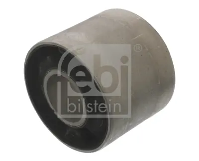 FEBI BILSTEIN 40596 Salıncak Burcu On (Kolsuz Arka Burc) X164 06>12 W164 05>11 A1643331214