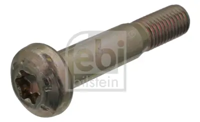 FEBI BILSTEIN 45878 Baslık Cıvata 1088759