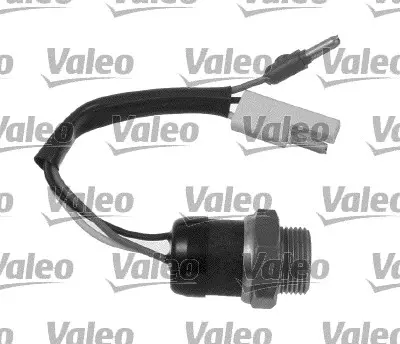 VALEO 819828 Fan Musuru Cıtroen Fıat 126410 5951524 ZF05934064