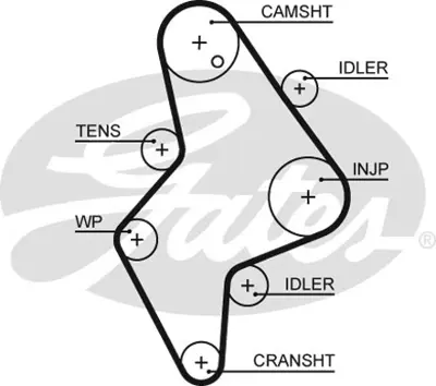 GATES 5658XS Triger Kayışı 136x254 Tata Safarı 2.2tdıc 16v 06 Telcolıne Xenon 2.2dı 08 278905116305