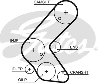 GATES 5679XS Eksantrık Gergı Kayısı Chevrolet Cruze 1.7td 13 1.7d 12 98014186