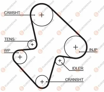EUROREPAR 1633128080 Mqp Triger Kayışı 9564040580 GTB1207 LHN10022EVA