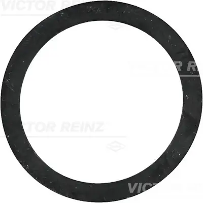 VICTOR REINZ 40-77243-00 Conta 1338204