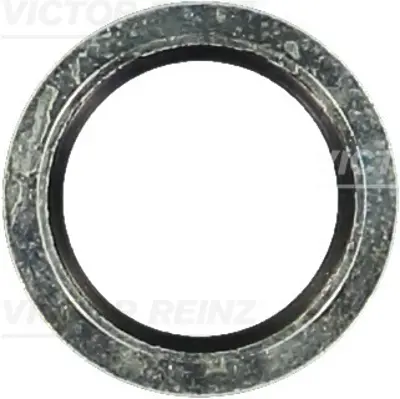 VICTOR REINZ 70-33769-00 Karter Tapa Pulu Lastıklı R19 Kangoo Clıo Megane Scenıc Laguna Trafıc  16488 3639459 7700266044 8200641648 97532964 982724 MW31256354