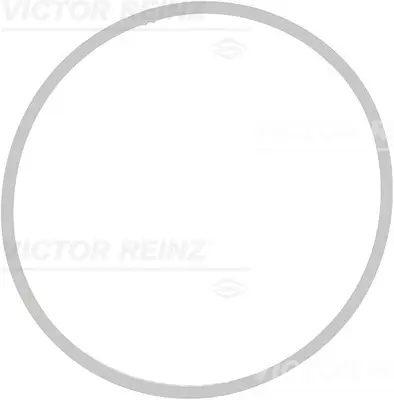 VICTOR REINZ 71-39409-00 Emme Manıfold Conta 7537999